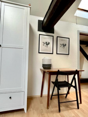 Attic 3 bedrooms apartment with 2 bathrooms